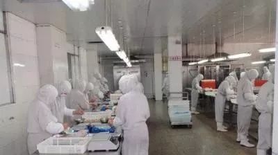 夏季、如何保障食品安全,阻挡小生物? 夏季、如何保障食品安全,阻挡小生物?